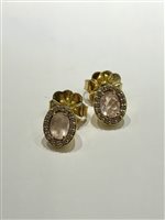 Earrings Aquaforte Woman PREZIOSA in Silver H4180479